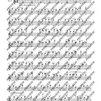 The Flute Expedition