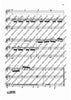 Zwölf Cassationsstücke - Performing Score