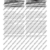 Expression through Sound