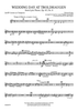 Wedding Day At Troldhaugen, Op. 65, No. 6 for Band - Bb Cornet 2