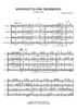 Sinfonietta - Score