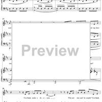 On the Steps of the Palace