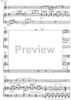 Sonata for violin and piano No. 1 - Score