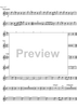 Divertimento No.11 D Major KV251 - D Horn
