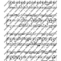 Best of Flute Classics