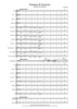 Fantasia di Concerto - Score