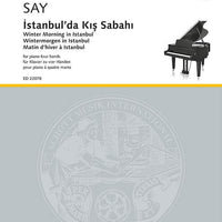 Winter Morning in Istanbul