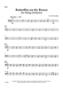 Butterflies on the Breeze - Bass