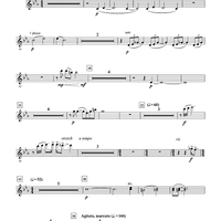 Breaking Point - Flute 2