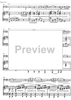 Fantaisie de concert - Score