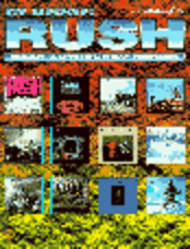 New World Man