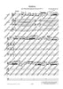Cadenza for the Brandenburg Concerto No. 3 G major by Johann Sebastian Bach - Performing Score