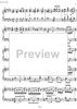 Essays on the forgotten Rhythms Op.28