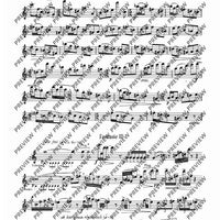 Fantasias and Scherzi