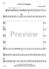 First Five Symphony - Flutes