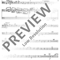 Organ Concerto No. 3 G Minor - Bassi/bassoon