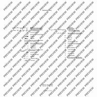 El Cimarrón - Performing Score