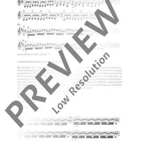 Systematische Violintechnik