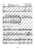 Orchestra Studies for Flute