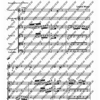 Concerto G-Dur in G major - Score