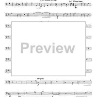 Sonata da Chiesa - Double Bass