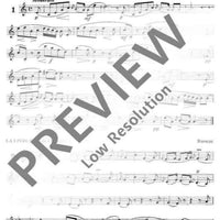 The sound of the flute