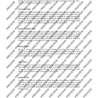 The Irish Flute Book