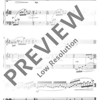 December Chrysanthemum