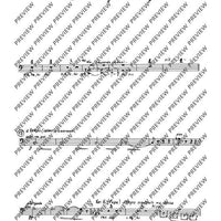 2. Concerto in C - Double Bass