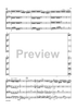 The Violin Concerti - Score