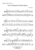 12 Miniatures - Trombone (Substitute for Horn)