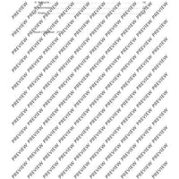 Quartet in D - Score and Parts