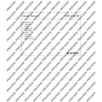 Concerto E Minor - Set of Parts