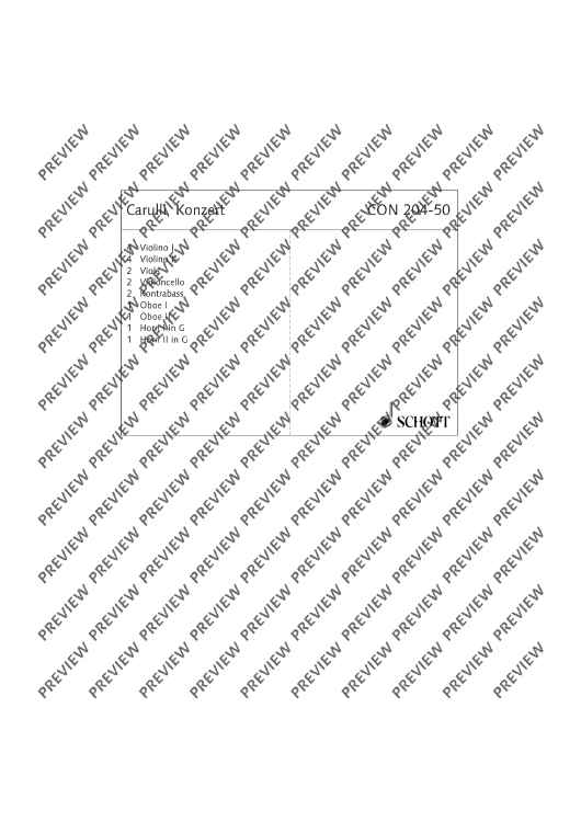 Concerto E Minor - Set of Parts