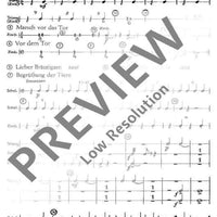 Die Bettlerhochzeit - Percussion