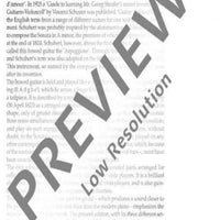 Sonata "Arpeggione" in A minor - Flute