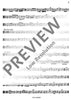 Consort - Tenor Recorder/viola