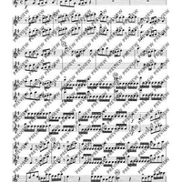 Concerto grosso in G major - Set of Parts