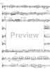 Argentinian Rhapsody - Flute