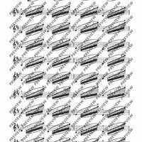 100 Technical Paraphrases on Kreutzer-Etudes