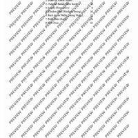 Swing Along - Harmony-/rhythm Instruments