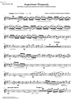 Argentinian Rhapsody - Bass Clarinet