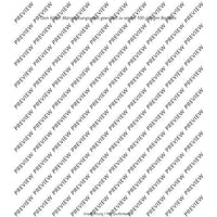 Zwei Männerchöre - Score (also Performing Score)