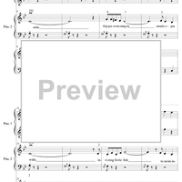 Cruising Down the Nile Trio