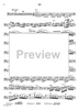 Concerto in G Minor for Basoon, Strings and Cembalo - Bassoon