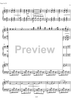 Essays on the forgotten Rhythms Op.28