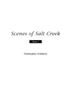 Scenes of Salt Creek - Piano 1