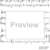 Moments in the Woods