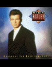 Never Gonna Give You Up