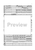 Double Concerto for Recorder and Flute in E minor - Score